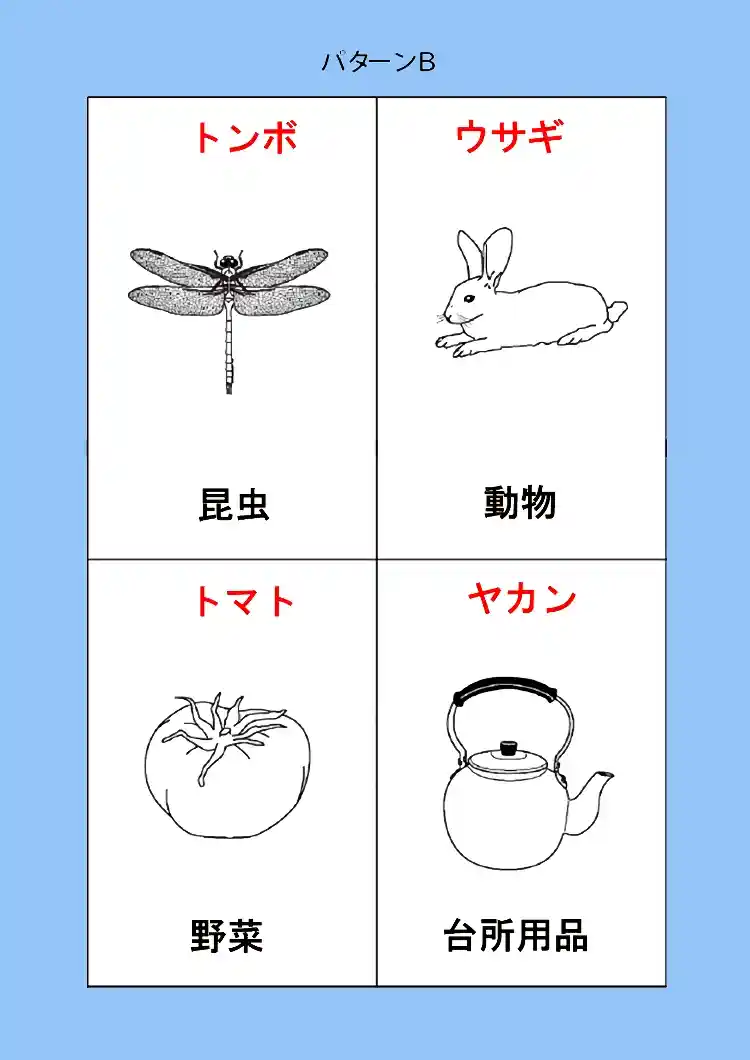 163_patt-B-02画像