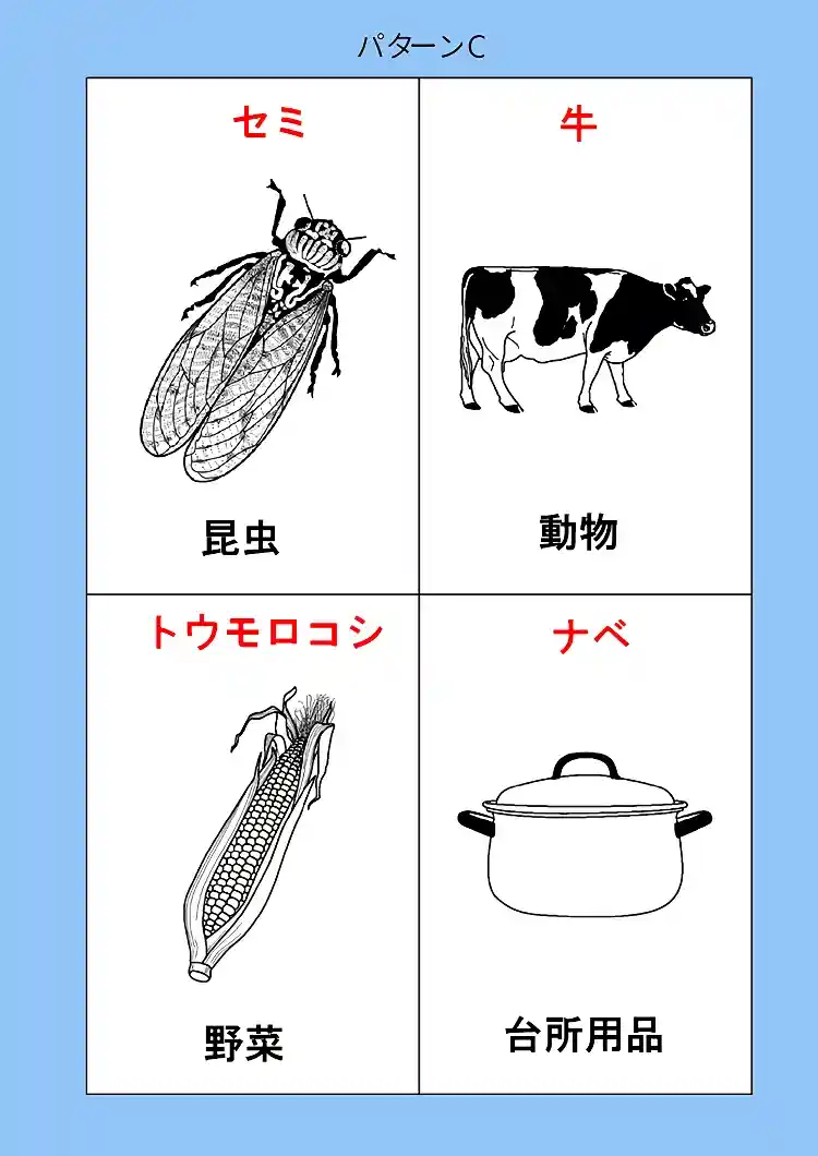 164_patt-C-02画像
