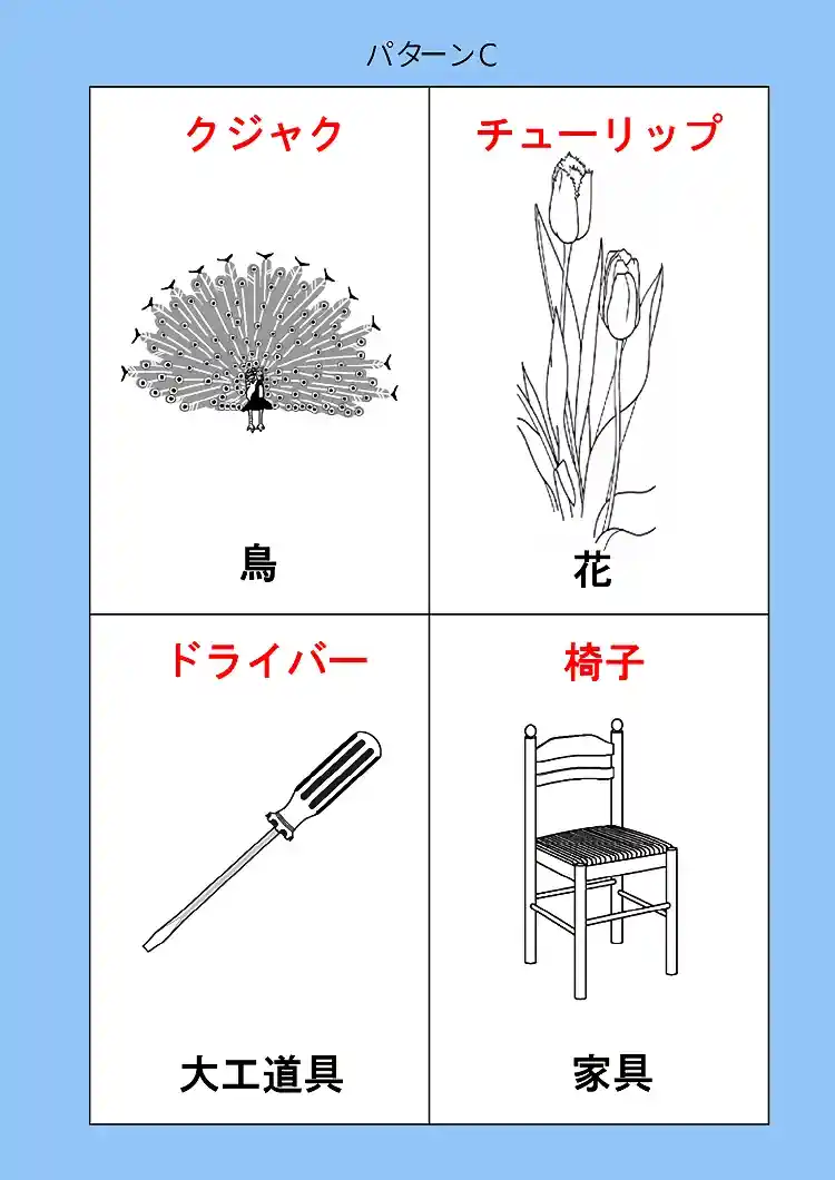 164_patt-C-04画像