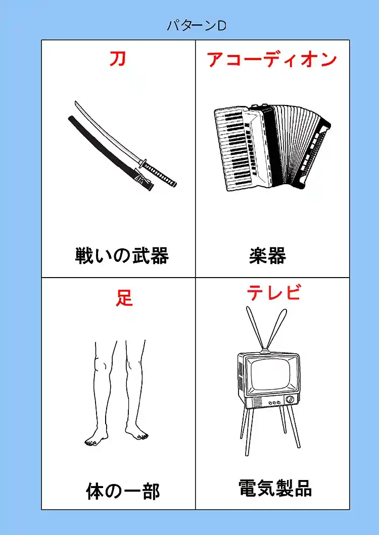165_patt-D-01画像