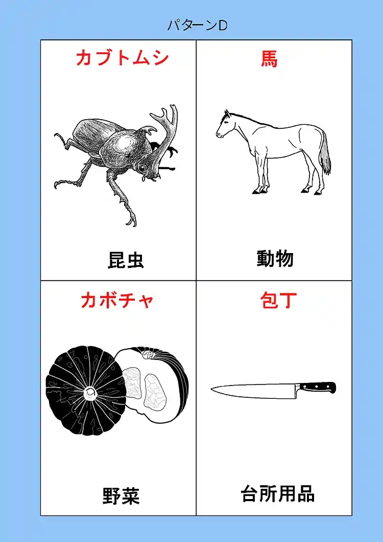 165_patt-D-02画像